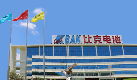 比克工业园 大鹏新区葵涌街道葵新社区 新能源产业园